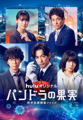 海口网站建设优化技术